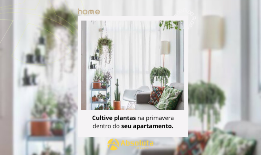 Cultive Plantas na Primavera Dentro do Seu Apartamento no Litoral