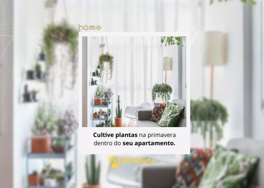 Cultive Plantas na Primavera Dentro do Seu Apartamento no Litoral