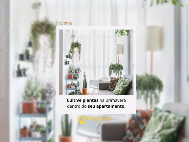 Cultive Plantas na Primavera Dentro do Seu Apartamento no Litoral